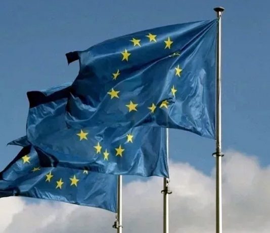 德國波蘭支持英國經貿 換取更緊密軍事合作 德國波蘭支持英國經貿 換取更緊密軍事合作