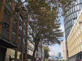 政府建議公務員加薪2.8% 政府建議公務員加薪2.8%