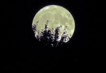 星期日 記得抬頭望月光 星期日 記得抬頭望月光