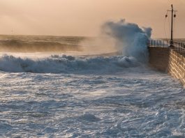 Storm Darragh襲英 列斯發黃色風暴警報 Storm Darragh襲英 列斯發黃色風暴警報