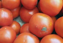 英國超市售賣「意大利」番茄醬疑產自新疆 英國超市售賣「意大利」番茄醬疑產自新疆