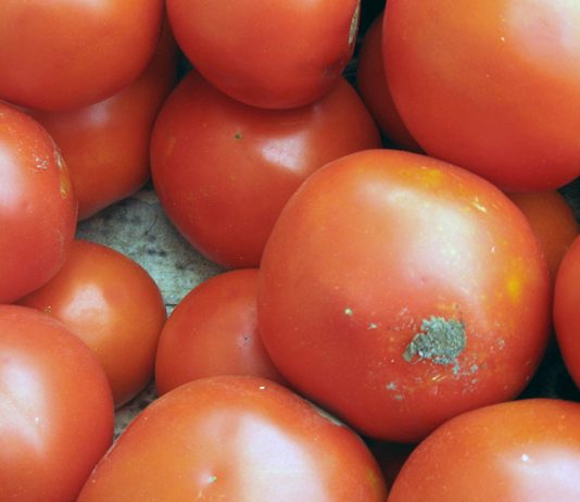 英國超市售賣「意大利」番茄醬疑產自新疆 英國超市售賣「意大利」番茄醬疑產自新疆