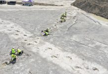 牛津郡發現數百恐龍腳印 揭示古生物的互動方式 牛津郡發現數百恐龍腳印 揭示古生物的互動方式