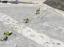 牛津郡發現數百恐龍腳印 揭示古生物的互動方式 牛津郡發現數百恐龍腳印 揭示古生物的互動方式