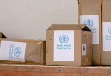 剛果蝙蝠相關神秘病毒病例突破千宗 剛果蝙蝠相關神秘病毒病例突破千宗