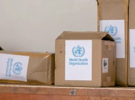 剛果蝙蝠相關神秘病毒病例突破千宗 剛果蝙蝠相關神秘病毒病例突破千宗