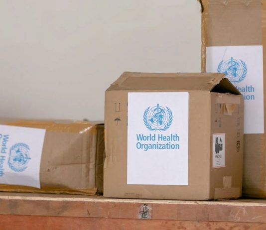 剛果蝙蝠相關神秘病毒病例突破千宗 剛果蝙蝠相關神秘病毒病例突破千宗