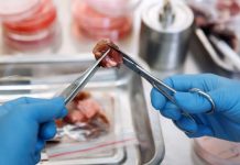 英國擬兩年內批准 銷售實驗室培育食品 英國擬兩年內批准 銷售實驗室培育食品