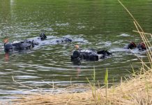 曼徹斯特男子謀殺同屋 肢解遺體被判有罪 曼徹斯特男子謀殺同屋 肢解遺體被判有罪