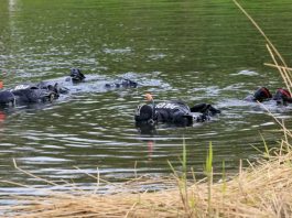 曼徹斯特男子謀殺同屋 肢解遺體被判有罪 曼徹斯特男子謀殺同屋 肢解遺體被判有罪