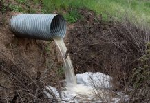 未處理污水排放量創紀錄 去年達361萬小時 未處理污水排放量創紀錄 去年達361萬小時