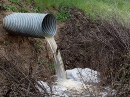 未處理污水排放量創紀錄 去年達361萬小時 未處理污水排放量創紀錄 去年達361萬小時