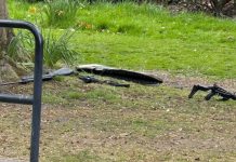 列斯男子持弩及氣槍 兩名女子受傷 列斯男子持弩及氣槍 兩名女子受傷