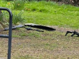 列斯男子持弩及氣槍 兩名女子受傷 列斯男子持弩及氣槍 兩名女子受傷