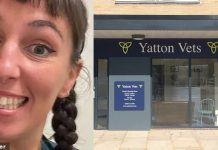 獸醫護士 多次竊取動物藥物被除牌 獸醫護士 多次竊取動物藥物被除牌