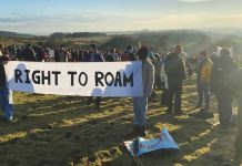 Dartmoor國家公園 高院裁定野外露營合法 Dartmoor國家公園 高院裁定野外露營合法