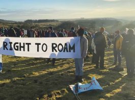 Dartmoor國家公園 高院裁定野外露營合法 Dartmoor國家公園 高院裁定野外露營合法