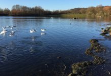 諾丁漢郡16歲少年 湖中游泳遇溺身亡 諾丁漢郡16歲少年 湖中游泳遇溺身亡