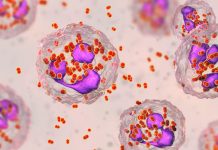 英國將成為全球首個提供淋病疫苗接種國家 英國將成為全球首個提供淋病疫苗接種國家