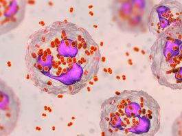 英國將成為全球首個提供淋病疫苗接種國家 英國將成為全球首個提供淋病疫苗接種國家