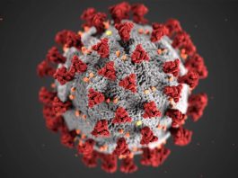 英國首次發現新冠變種NB.1.8.1病例 英國首次發現新冠變種NB.1.8.1病例