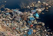 水污染事故激增60% 環境局批水務公司表現差 水污染事故激增60% 環境局批水務公司表現差