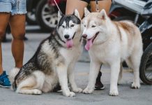 六月出現兩次熱浪 英格蘭錄得史上最熱六月 六月出現兩次熱浪 英格蘭錄得史上最熱六月