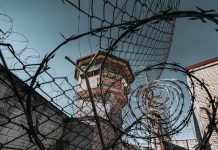 提前釋放計劃釋囚 涉嫌謀殺罪被捕 提前釋放計劃釋囚 涉嫌謀殺罪被捕