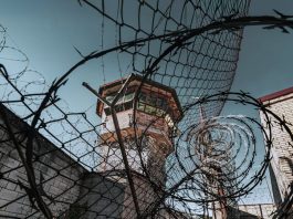 提前釋放計劃釋囚 涉嫌謀殺罪被捕 提前釋放計劃釋囚 涉嫌謀殺罪被捕
