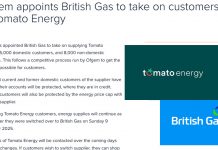 Tomato Energy客戶將轉移British Gas Tomato Energy客戶將轉移British Gas