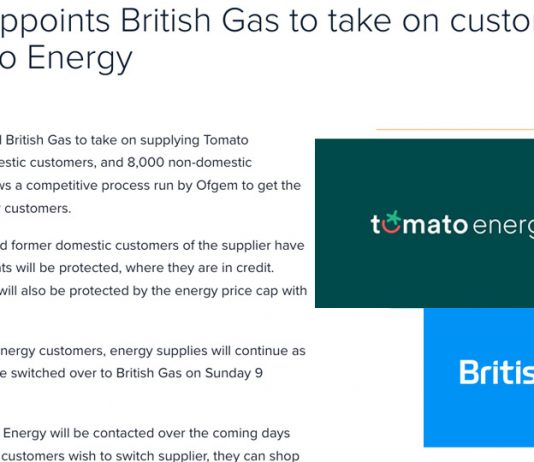 Tomato Energy客戶將轉移British Gas Tomato Energy客戶將轉移British Gas
