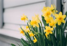 英國迎來今年最熱一天 未來數天漸趨不穩 英國迎來今年最熱一天 未來數天漸趨不穩