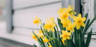 英國迎來今年最熱一天 未來數天漸趨不穩 英國迎來今年最熱一天 未來數天漸趨不穩