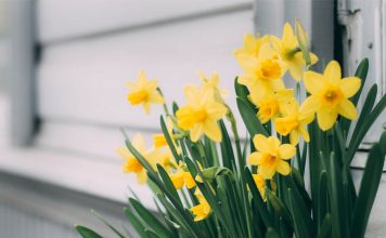 英國迎來今年最熱一天 未來數天漸趨不穩 英國迎來今年最熱一天 未來數天漸趨不穩