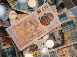 英倫銀行宣布最新版紙幣 以英國野生動物為主題 英倫銀行宣布最新版紙幣 以英國野生動物為主題