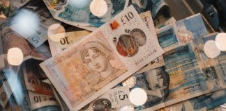 英倫銀行宣布最新版紙幣 以英國野生動物為主題 英倫銀行宣布最新版紙幣 以英國野生動物為主題