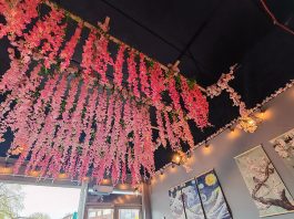 列斯Umee Sushi兩周年 推港人現金八折優惠 列斯Umee Sushi兩周年 推港人現金八折優惠