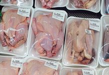 迷思破解 點解英國啲雞冇雞味呢? 迷思破解 點解英國啲雞冇雞味呢?