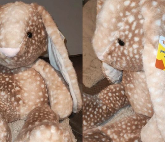 Asda £14「小鹿印花兔」爆紅 炒家放上網賣買四倍 Asda £14「小鹿印花兔」爆紅 炒家放上網賣買四倍