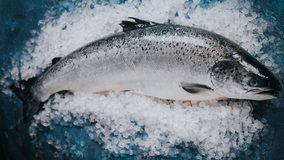 迷思破解 蘇格蘭三文魚可以做刺身嗎? 迷思破解 蘇格蘭三文魚可以做刺身嗎?