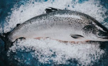 迷思破解 蘇格蘭三文魚可以做刺身嗎? 迷思破解 蘇格蘭三文魚可以做刺身嗎?